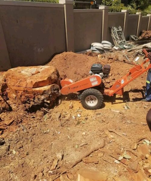 stump grinding services